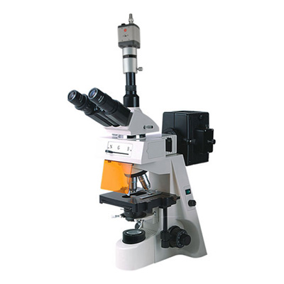 熒光顯微鏡BM-19AYC（電腦、落射）