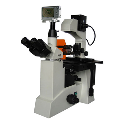倒置熒光顯微鏡BM-38XS(數碼)